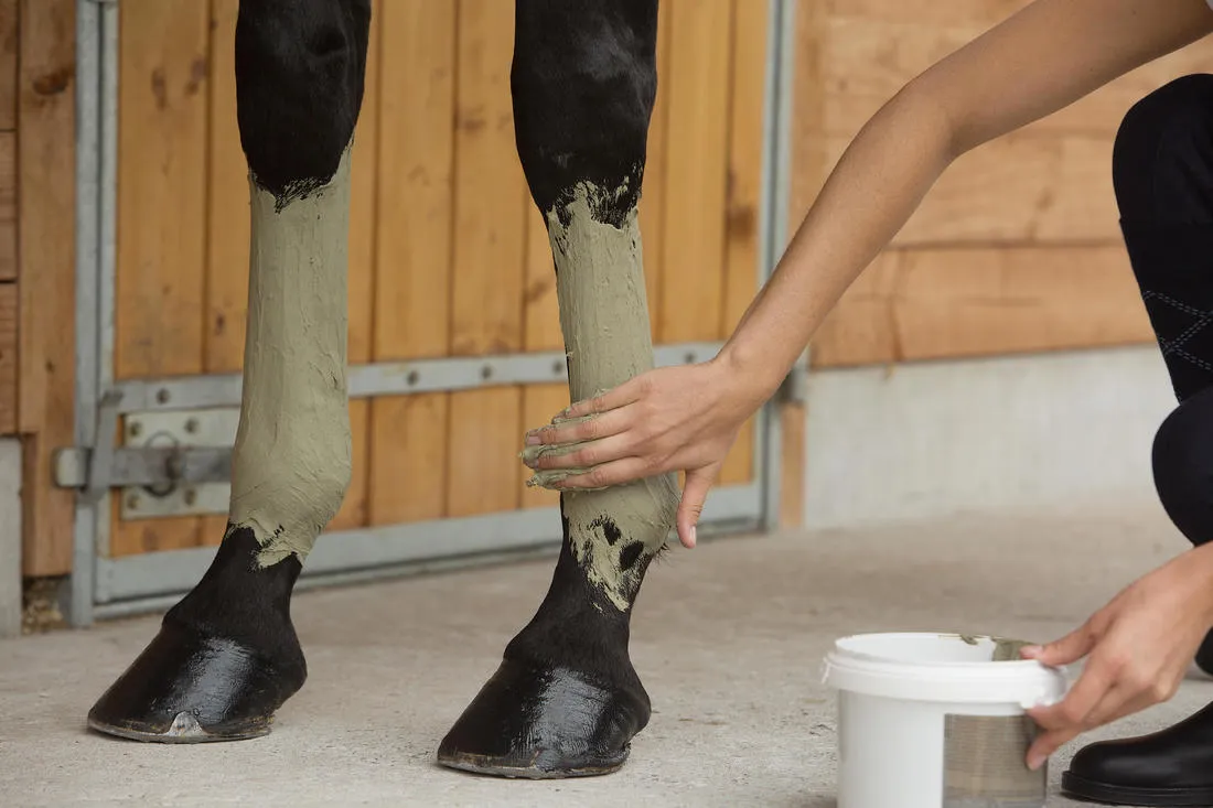 Argile minérale équitation cheval et poney 2,5 KG