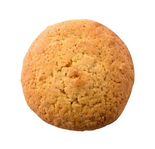 Nutrition sportive Stay'Activ | Aliment de l'effort digeste et savoureux Stay'Activ Cookie à la Vanille bourbon d