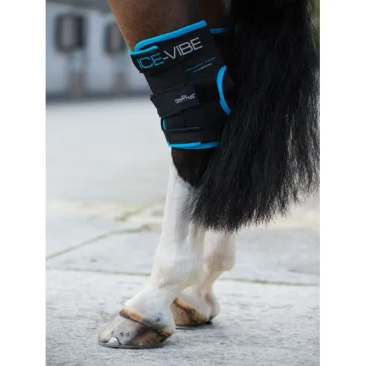 Protège-jarrets massant cheval Ice-Vibe - Horseware - HORSEWARE - Protections thérapeutiques chevaux - Equestra