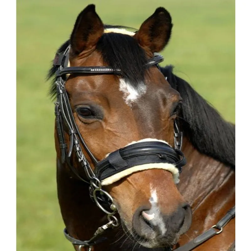 Protège-muserolle cheval - Christ - Christ - Protections mouton - Equestra